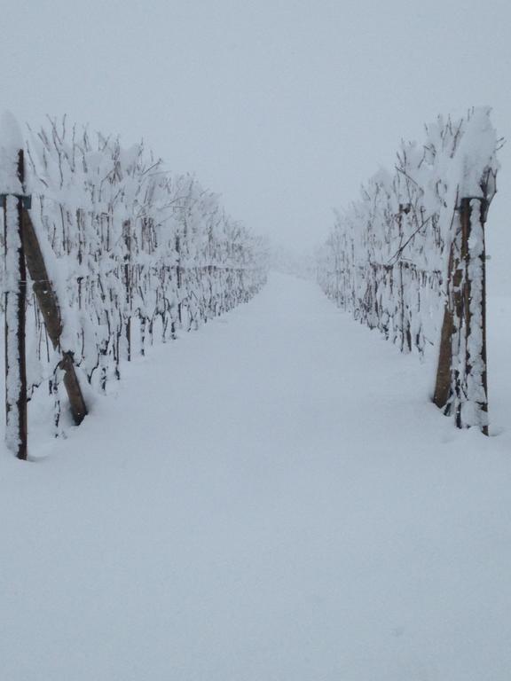 Soave tra le Langhe Appartamento La Morra Esterno foto